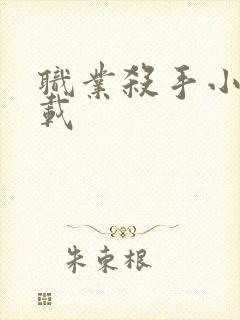 职业杀手小说下载