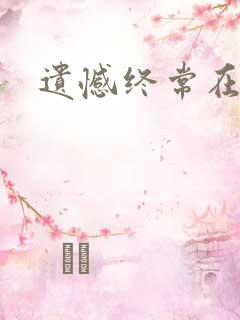 遗憾终常在小说