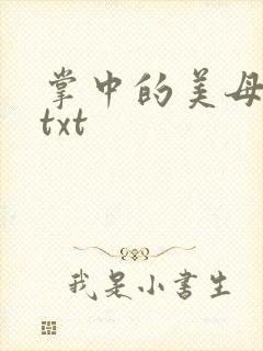 掌中的美母版主txt