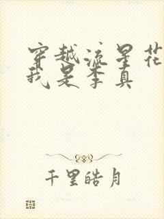 穿越流星花园之我是李真