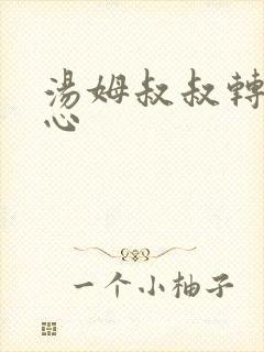 汤姆叔叔转入中心