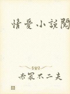 情爱小说阅读网