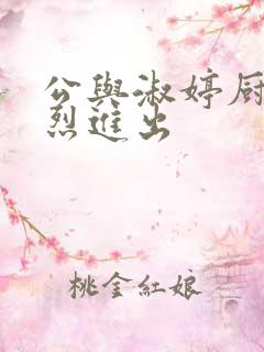 公与淑婷厨房猛烈进出