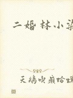 二婚 林小染