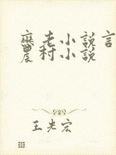 恋老小说言情网农村小说