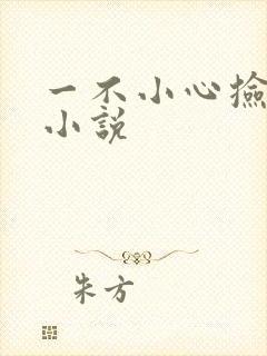 一不小心捡到爱小说