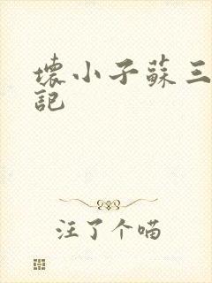 坏小子苏三风流记