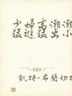 少妇高潮潮喷到猛进猛出小说