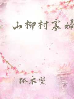 山柳村寡妇情史