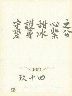 守护甜心之亚梦变身冰紫公主小说