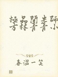 极品开光师李南方林青青小说免费阅读