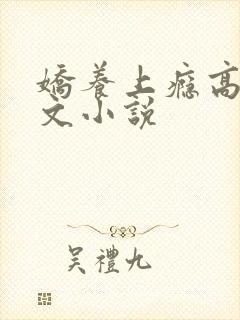 娇养上瘾高H爽文小说