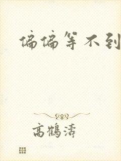 偏偏等不到小说