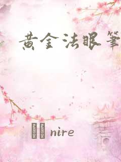 黄金法眼笔趣阁