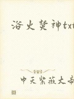 浴火焚神txt