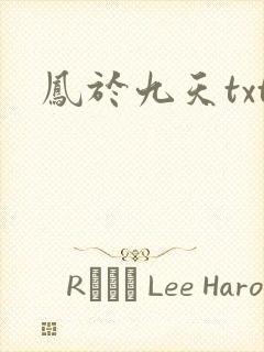凤于九天txt