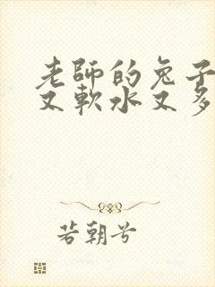 老师的兔子又大又软水又多