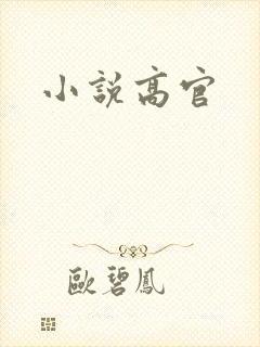 小说高官
