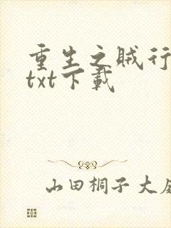 重生之贼行天下txt下载