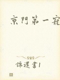 京门第一宠