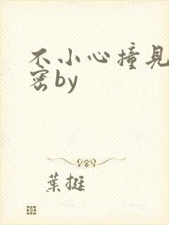 不小心撞见的秘密by