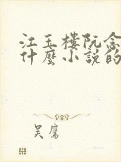 江玉楼阮念笙是什么小说的名字