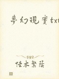 梦幻现实txt