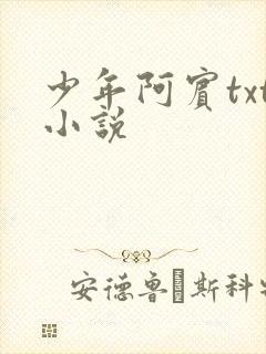 少年阿宾txt小说