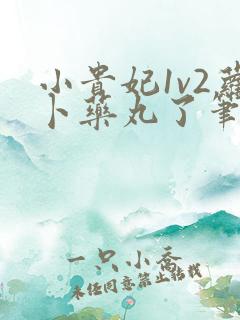 小贵妃1v2萝卜药丸了笔趣阁