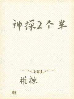 神探2个半