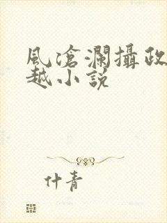 风沧澜摄政王穿越小说