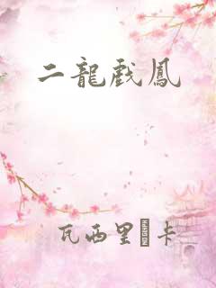 二龙戏凤