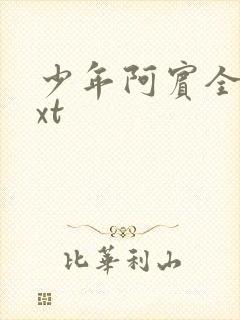 少年阿宾全集txt