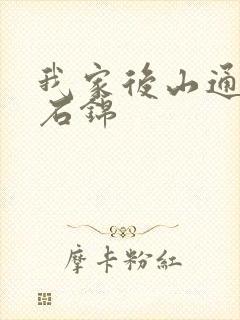 我家后山通仙界石锦