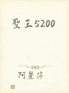 圣王5200