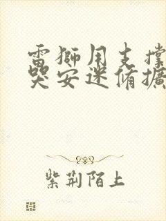 雷狮用支撑器玩哭安迷修扩张