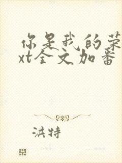 你是我的荣耀txt全文加番外