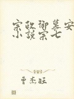 宗政御慕安安的小说宗七