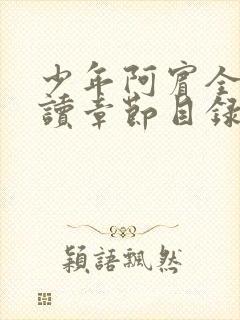 少年阿宾全文阅读章节目录