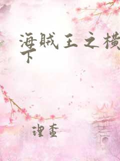 海贼王之横行天下