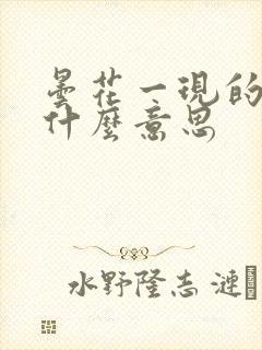 昙花一现的现是什么意思