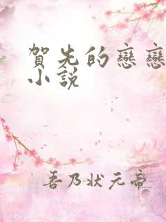 贺先的恋恋不忘小说