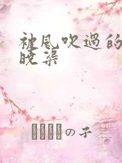 被风吹过的夏天晓渠