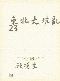 东北大坑乱1—23