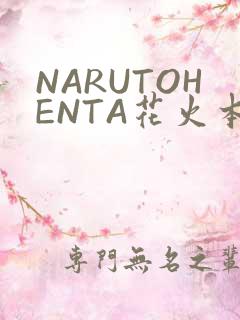 NARUTOHENTA花火本子