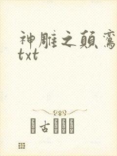 神雕之颠鸾倒凤txt