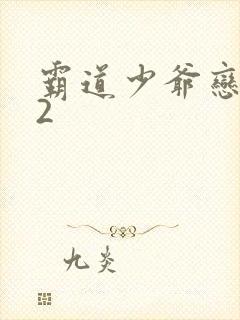 霸道少爷恋上我2