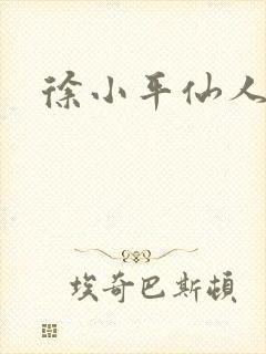 徐小平仙人指路