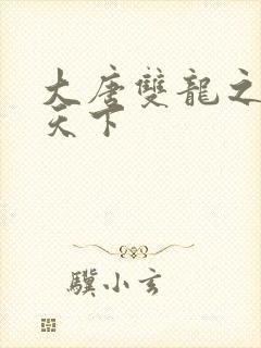 大唐双龙之无敌天下