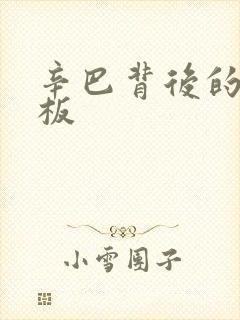 辛巴背后的人老板